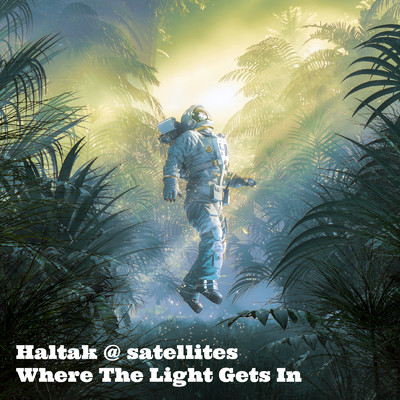 アルバム/Where The Light Gets In/Haltak @ satellites