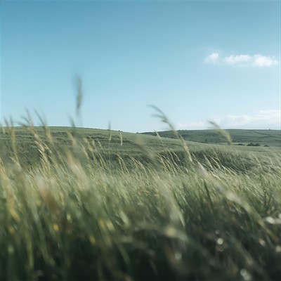 シングル/風のまなざし/ひな姫