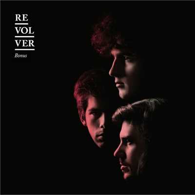 Have You Seen My New Friends ？ (Demo Version)/Revolver