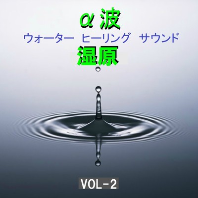 ハイ・グレード オルゴール α波  ウォーター ヒーリング  サウンド -湿原-  VOL-2/オルゴールサウンド J-POP