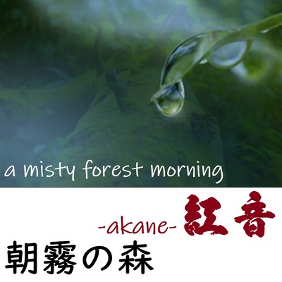 シングル/朝霧の森/紅音