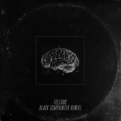 Black (Carpainter Remix)/Fellsius