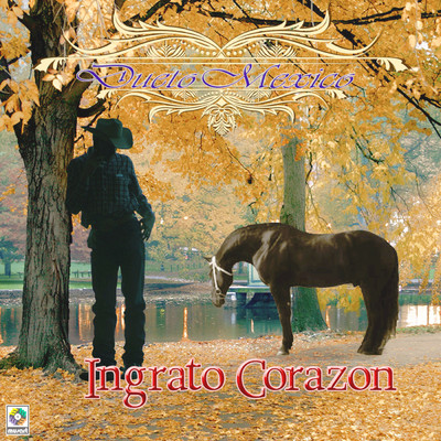Ingrato Corazon/Dueto Mexico