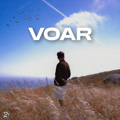 シングル/VOAR/Codie