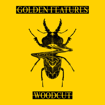 Woodcut (feat. Rromarin) [Machinedrum Remix]/Golden Features