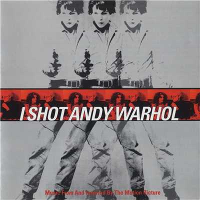 I Shot Andy Warhol (Music From And Inspired By The Motion Picture)/Various Artists