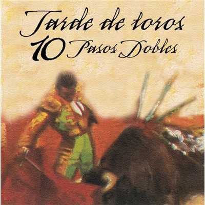 Tarde de toros 10 pasos dobles/Various Artists