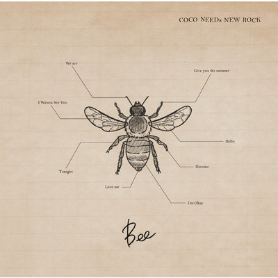 Bee/COCO NEEDs NEW ROCK