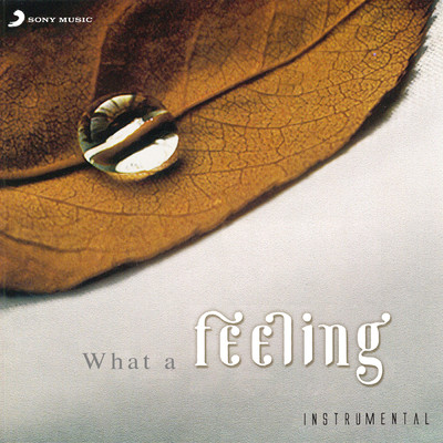 アルバム/What A Feeling (Instrumental)/Merlyn Dsouza／Charles Siqueira Vaz