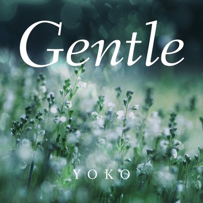アルバム/Gentle/YOKO