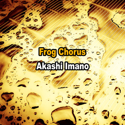 シングル/Frog Chorus/今野 証