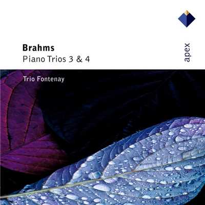 シングル/Piano Trio No. 4 in A Major, Anh. 4 No. 5: IV. Presto/Trio Fontenay