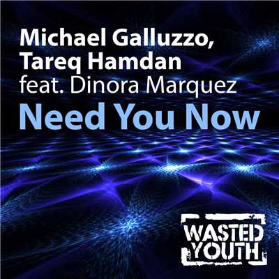 Need You Now (feat. Dinora Marquez)/Michael Galluzzo & Tareq Hamdan