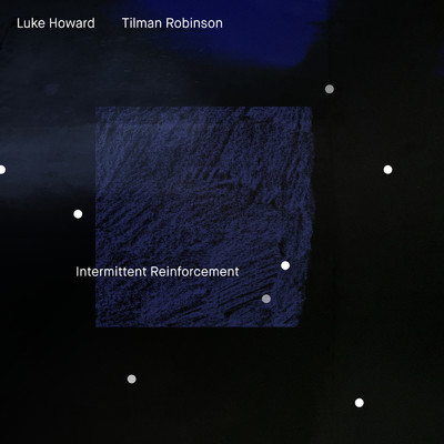 Intermittent Reinforcement/ルーク・ハワード／Tilman Robinson