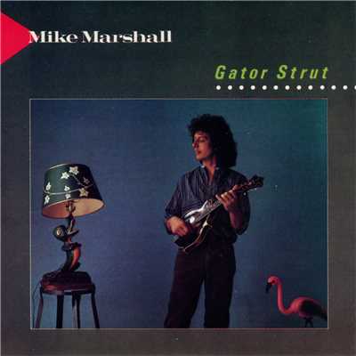 Chief Sitting In The Rain/Mike Marshall／Darol Anger