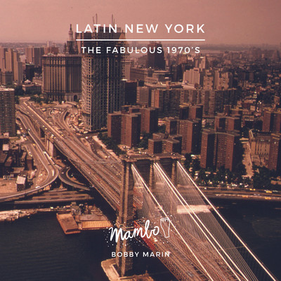 アルバム/Latin New York: The Fabulous 70's/Various Artists