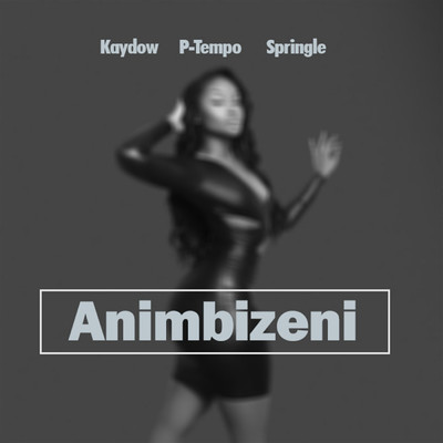 Animbizeni/Kaydow & P-Tempo & Springle