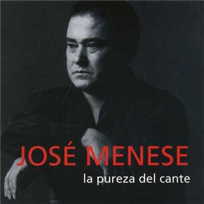La pureza del cante/Jose Menese