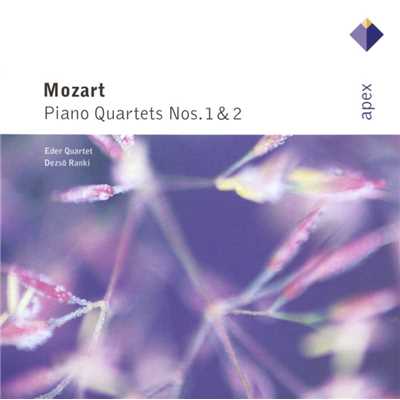 シングル/Piano Quartet No. 2 in E-Flat Major, K. 493: III. Allegretto/Dezso Ranki