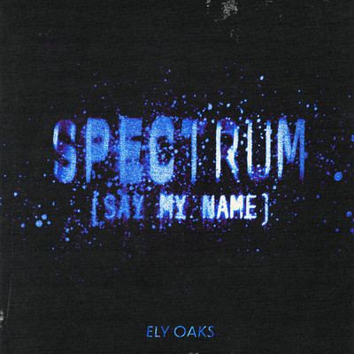 Spectrum (Say My Name)/Ely Oaks