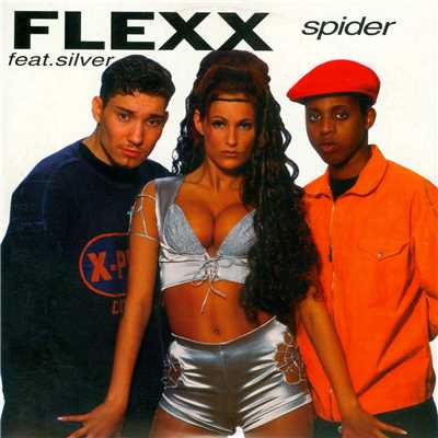 シングル/Spider (featuring Silver／Antiloop DaCyberguru Mix)/Flexx