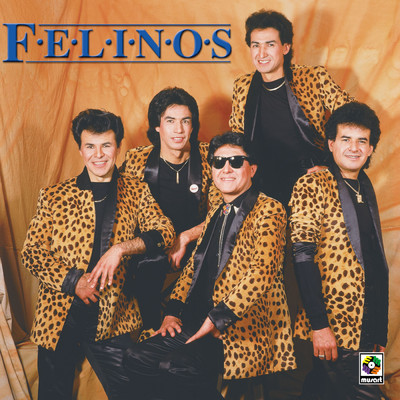 アルバム/Felinos/Los Felinos