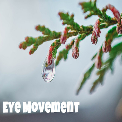 アルバム/Eye Movement/Vermis ego