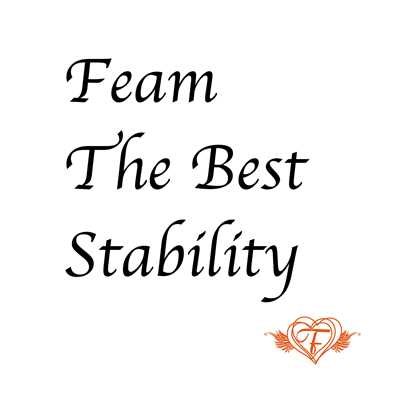 アルバム/Feam The Best Stability/Feam