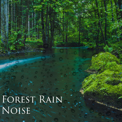 Forest Rain Noise/Forest Sounds & Nature Noise