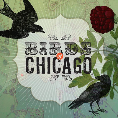 Birds Of Chicago/Birds Of Chicago／アリソン・ラッセル