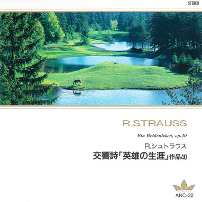 アルバム/R.シュトラウス 交響詩「英雄の生涯」作品40/ベルリンフィルハーモニー管弦楽団