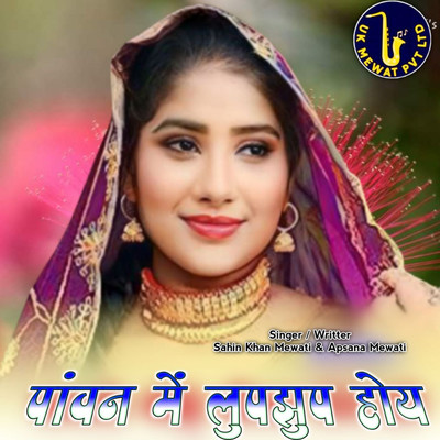 アルバム/Pawn Me Lupjhup Hoye/Aslam Mewati, Sahin Khan Mewati & Chanchal Mewati