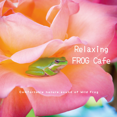 のんびり癒しカエルカフェ:Relaxing FROG Cafe 〜 Comfortable nature sound of Wild Frog/VAGALLY VAKANS