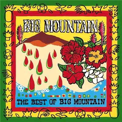 アルバム/The Best Of Big Mountain/Big Mountain