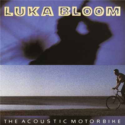 シングル/Be Well/Luka Bloom