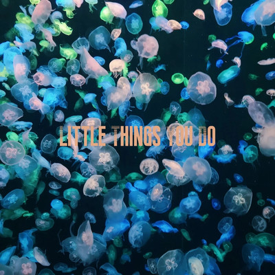 Little Things You Do/Kay Schuster