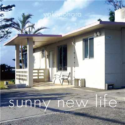 アルバム/SUNNY NEW LIFE/YAKENOHARA