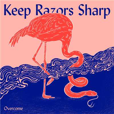 Overcome/Keep Razors Sharp