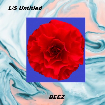 L ／S Untitled/BEEZ