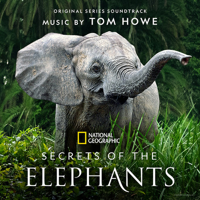 アルバム/Secrets of the Elephants (Original Series Soundtrack)/トム・ホウ