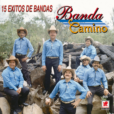アルバム/15 Exitos De Bandas/Banda Camino