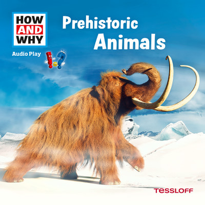 アルバム/Prehistoric Animals/HOW AND WHY