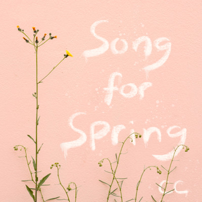 Song for Spring/Canyon City