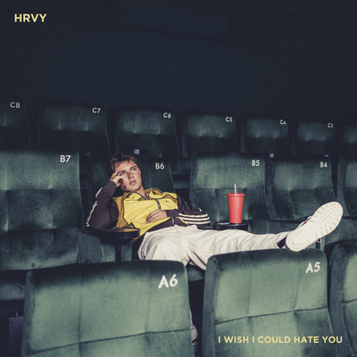 I Wish I Could Hate You/HRVY