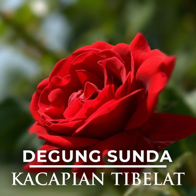 アルバム/Degung Sunda Kacapian Tibelat/Nining Meida & Barman S.