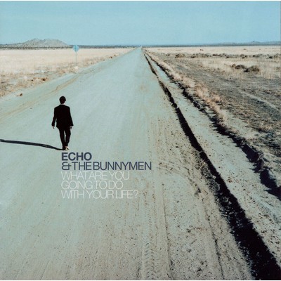 What Are You Going To Do With Your Life？/Echo & The Bunnymen