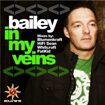 シングル/In My Veins (Bailey's Soltrenz Sunrise Edit)/Bailey