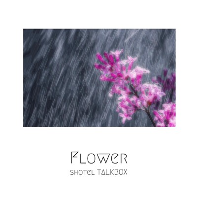 アルバム/Flower/shotel