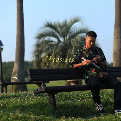 アルバム/Pleasures/大地