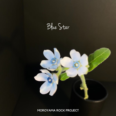 Blue Star/MOROYAMA ROCK PROJECT